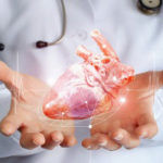 Doctor Holding Heart in Palms