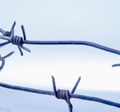 barbed wire