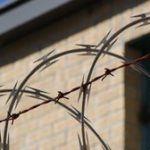 wired fence with building in background