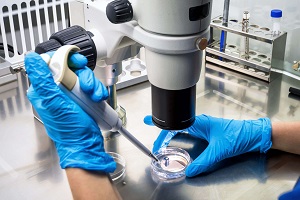 Scientist Testing a Specimen